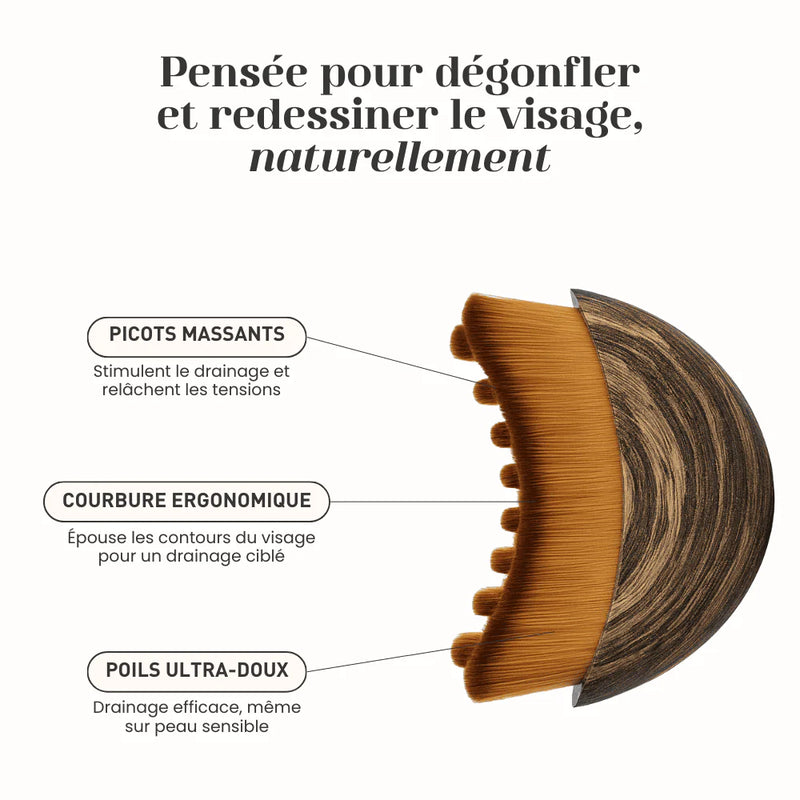 ZENTORI - Brosse de Drainage Lymphatique Visage